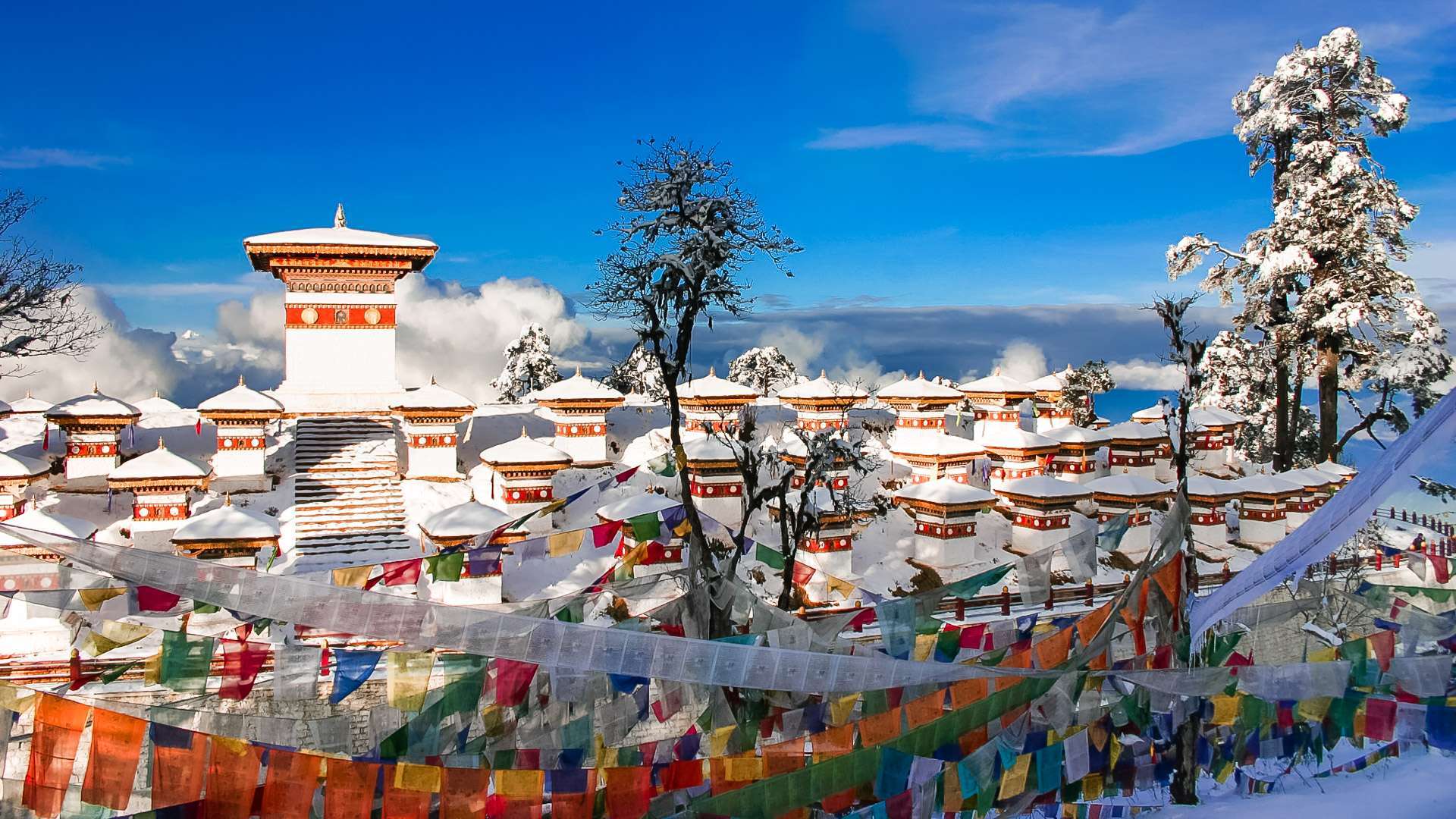 Image hover effect image