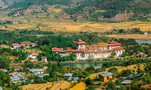 162091336_803135383650287_3696101327979165319_n