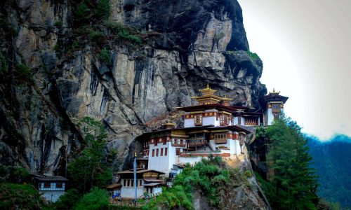 pexels-ming-zimik-4525420