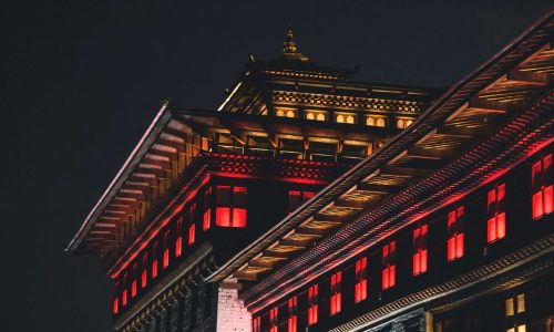 pexels-setu-chhaya-4221670