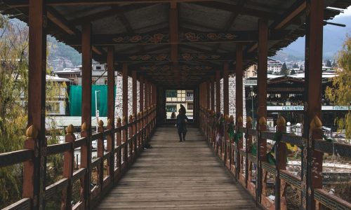 pexels-setu-chhaya-6876383 (2)